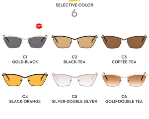 Detailed catalog of cat eye sunglasses showing six metallic frames and tinted lens options