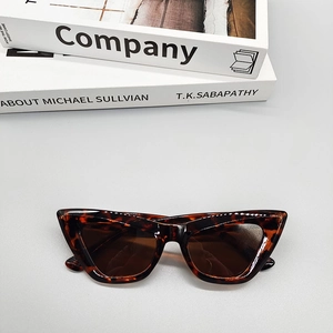Detail of retro cat-eye sunglasses with tortoise shell frame and dark brown lenses