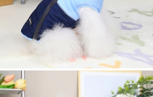Detail view of the zipper closure and blue color blocking on padded pet winter vest