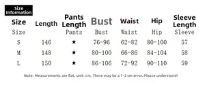 Detailed size chart for mesh long sleeve dress showing length, bust, waist and hip measurements