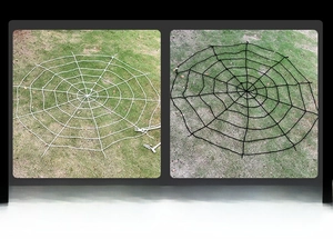 Comparison of black and white outdoor giant spider webs for Halloween garden decoration