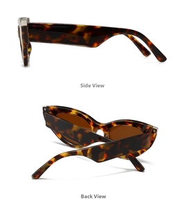 Detail view of tortoiseshell cat-eye sunglasses showing thick acetate frame and hinges