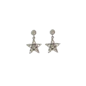 Boucles d'oreilles étoiles argentées avec oxydes de zirconium sur fond blanc