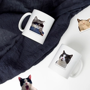 Minimalist white ceramic mug featuring humorous cartoon cat expressions and blue fabric backdrop