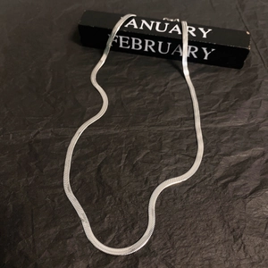 Detailed view of silver flat snake chain necklace on textured black background