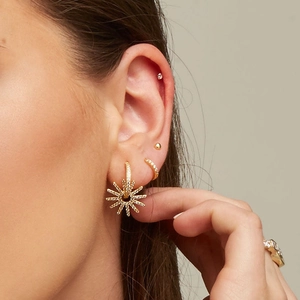 Elegant s925 silver needle sunflower gold earrings with sparkling zircon on a model