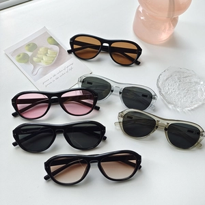 Retro Oval Sunglasses Women Men Large Frame Resin PC Vintage Fashion Trendy Outdoor Eyewear UV400 Protection