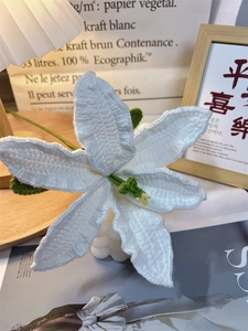 Detailed handmade white lily crochet flower with realistic yarn texture and green stem