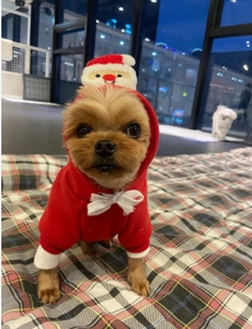 Detail of red Christmas dog hoodie featuring a Santa Claus hat and soft fleece texture