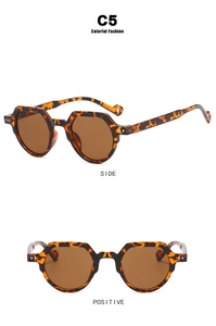 Detailansicht der sechseckigen Sonnenbrille in Schildpatt-Optik mit braunen Gläsern