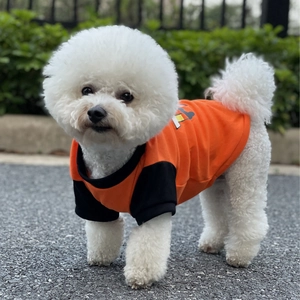 Detail of breathable orange cotton pet T-shirt with black sleeves on a small dog