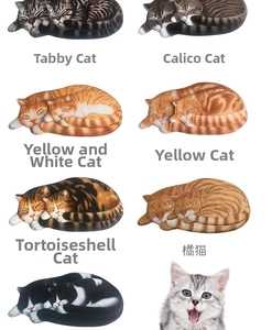 Detailliertes Raster realistischer 3D-Katzenmatten in verschiedenen Mustern wie Tabby