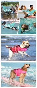 Detail of dog life jacket showing shark fin and mermaid tail designs in water settings