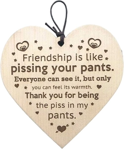 Close-up of heart-shaped wooden friendship plaque with humorous quote and black cord