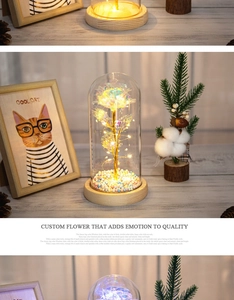 Detail of gold foil rose in glass dome with warm LED fairy lights and wooden base