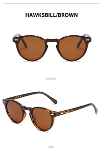 Macro view of vintage round hawksbill sunglasses with decorative metal rivets and brown lenses
