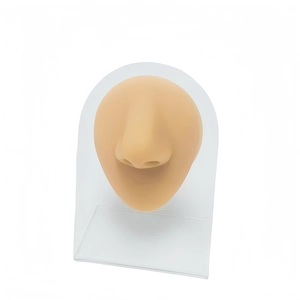Flesh-colored silicone nose and mouth model for piercing practice on a clear stand