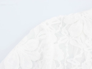 Vue macro du tissu en dentelle florale blanche élégante montrant la texture délicate