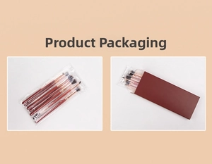 Detailed view of makeup brush set packaging including transparent bag and dark red paper box