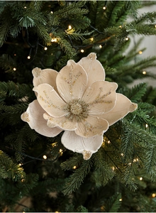 Detailed close-up of champagne velvet Christmas magnolia flower with glitter on a tree