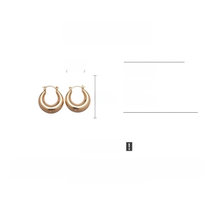 Detailed specs of gold hoop earrings showing 2.5cm size, 7.6g weight and copper material