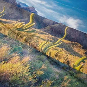 Detailed macro shot of desert landscape print showing cactus and fabric texture