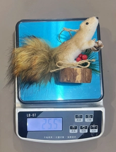 Detailed view of artificial squirrel decor weighing 25.5g on a digital scale