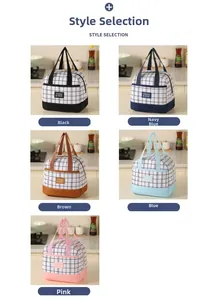 Selection of five portable insulated lunch bags in assorted colors with grid patterns