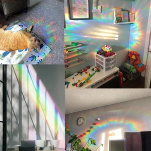 Collage of rainbow light reflections on walls and pets created by prism window film