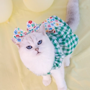Detail of green plaid pet dress with floral accents and a bow on a white cat