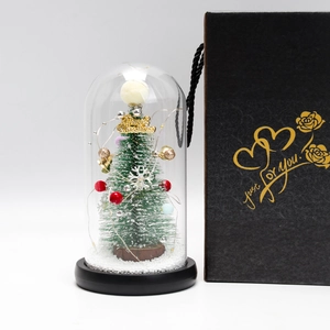 Detailed Christmas tree glass dome ornament with LED lights and elegant black gift box