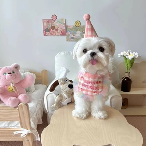 Detailed view of pink checkerboard pet birthday bib with rainbow mesh trim and pompom hat