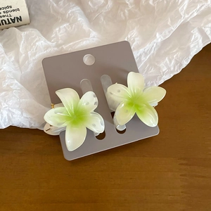 Detail view of two cream white and green gradient flower hair claws on display card