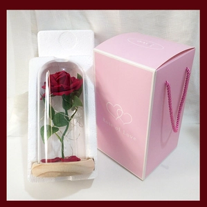 Detail of red rose in glass dome with LED lights and Rose of Love pink gift bag