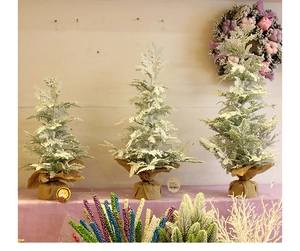 Three mini flocked cedar Christmas trees with snow effect and natural burlap bases