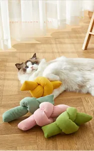 Ragdoll Katze spielt mit bunten Cord-Katzenminze-Spielzeugen auf dem Holzfußboden