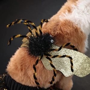 Halloween pet costume featuring a large black plush spider and glittery gold bat wings