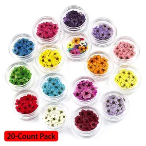 Nail Art Dried Flowers Natural Ultra Thin Colorful Japanese Style Manicure Decoration DIY Floral Petals For Crafting