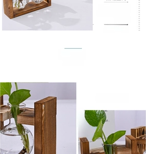 Detail of premium wooden frame stand and bulb-shaped glass hydroponic plant vase
