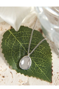Close-up of minimalist silver oval pendant necklace resting on a natural green leaf
