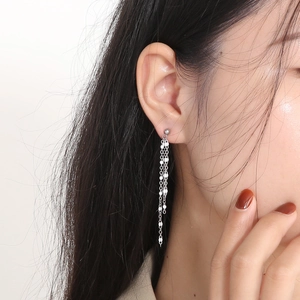 Elegant silver tassel earrings with titanium steel long chains and resin drop accents