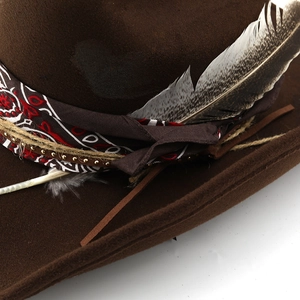 Vintage dark brown wool cowboy hat with ethnic ribbon and natural striped feather
