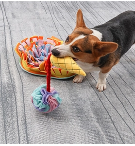 Close-up of a Corgi playing with a colorful felt petal puzzle mat and snuffle ball toy