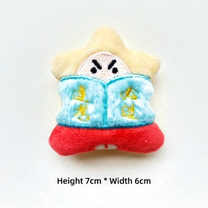 Détail macro d'une broche en peluche en forme d'étoile avec broderie porte-bonheur