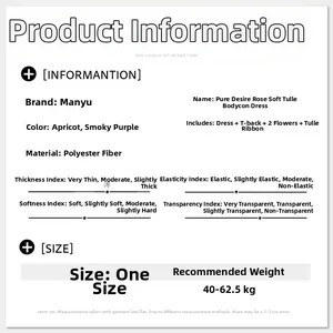 Size chart for see-through mesh lingerie dress set including T-back and accessories