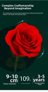 Detail of 9-10cm preserved red rose showing vivid petals and premium gift quality