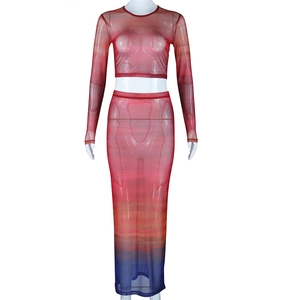 Detail of gradient mesh long sleeve crop top and matching high waist midi skirt set