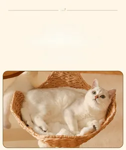 Detail eines geflochtenen Katzenbettes aus Rattan mit weichem Kissen und Naturholzoptik