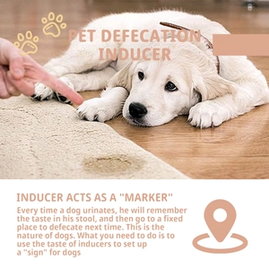 Infographic showing how the pet defecation inducer works to train dogs for potty use