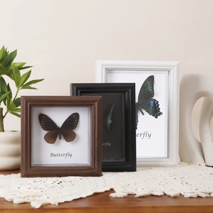 Vintage wood shadow box frames with butterfly specimens in walnut, black, and white finish